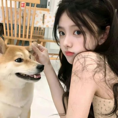 阳光下的法庭